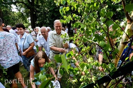 Przez miasto przeszły procesje