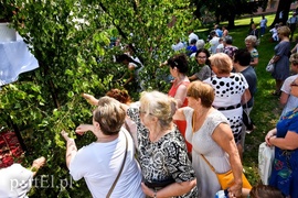 Przez miasto przeszły procesje