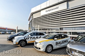 To mogą być świetni kompani wakacyjnych podróży