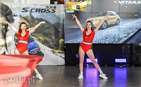 To mogą być świetni kompani wakacyjnych podróży