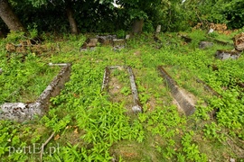 Nad jezioro, na cmentarz i na lody  (Cudze chwalicie, swego nie znacie, odcinek 1) 