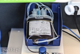 W autobusie polała się krew