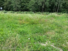 Przy Kanale Elbląskim nie pobiwakujesz