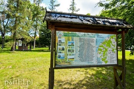 Kadyny, czyli z wizytą u cesarza Wilhelma  (Cudze chwalicie, swego nie znacie, odcinek 4) 