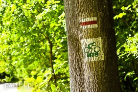 Kadyny, czyli z wizytą u cesarza Wilhelma  (Cudze chwalicie, swego nie znacie, odcinek 4) 