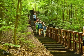 Kadyny, czyli z wizytą u cesarza Wilhelma  (Cudze chwalicie, swego nie znacie, odcinek 4) 