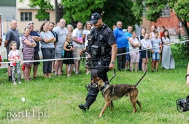 Zabawa z policjantami