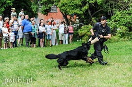 Zabawa z policjantami