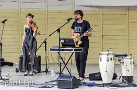 Muszla pod znakiem elektroniki