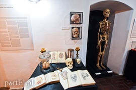 Wycieczka nie z tej ziemi  (Cudze chwalicie, swego nie znacie, odcinek 5) 