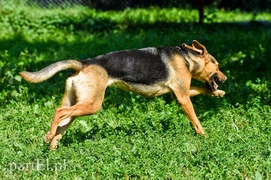 Galeria pod psem i kotem (Odc.65)