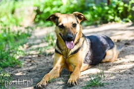 Galeria pod psem i kotem (Odc.65)