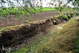 Nie ma wody na Żuławach