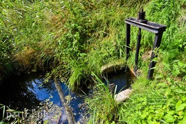 Nie ma wody na Żuławach