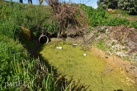 Nie ma wody na Żuławach