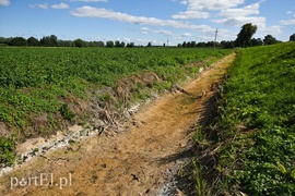 Nie ma wody na Żuławach