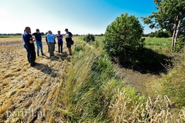 Nie ma wody na Żuławach