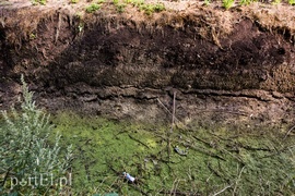 Nie ma wody na Żuławach