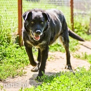 Galeria pod psem i kotem (Odc.69)