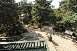 Krynica dla tych, którzy lubią tłumy  (Cudze chwalicie, swego nie znacie, odcinek 10) 