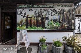 Krynica dla tych, którzy lubią tłumy  (Cudze chwalicie, swego nie znacie, odcinek 10) 
