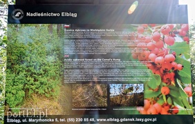 Krynica dla tych, którzy lubią tłumy  (Cudze chwalicie, swego nie znacie, odcinek 10) 