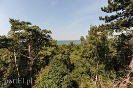 Krynica dla tych, którzy lubią tłumy  (Cudze chwalicie, swego nie znacie, odcinek 10) 