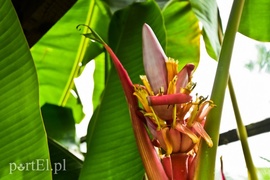 Niewielu jest takich wariatów jak ja