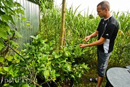 Niewielu jest takich wariatów jak ja
