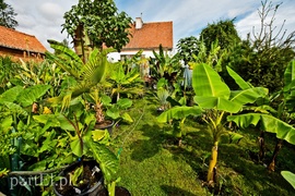 Niewielu jest takich wariatów jak ja