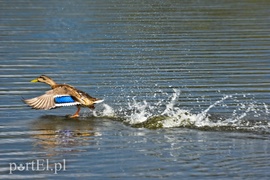 Spór o dwa kilometry kosztów
