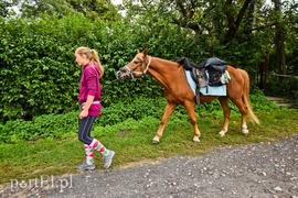 Z Warszawy nad Zalew Wiślany, Spox
