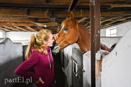 Z Warszawy nad Zalew Wiślany, Spox