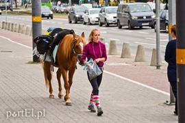 Z Warszawy nad Zalew Wiślany, Spox