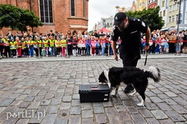 Pilnują budżetu, by \"nie przeciekał\"