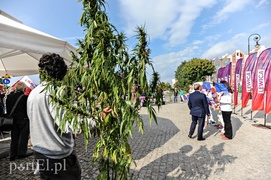 Lewica w trasie. Dziś Elbląg