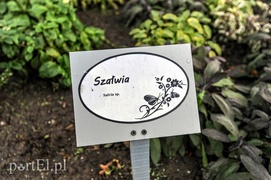 Czytanie będzie miało zapach lawendy