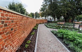 Czytanie będzie miało zapach lawendy