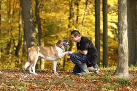 Galeria pod psem i kotem (Odc.76)
