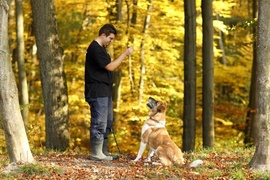 Galeria pod psem i kotem (Odc.76)