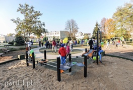 Tu wskoczył Konik Polny