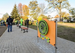 Tu wskoczył Konik Polny