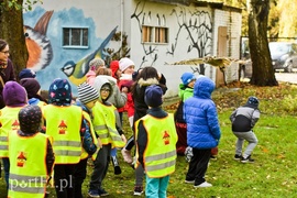 Odlotowa lekcja przyrody