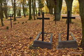 Historii cmentarza ewangelickiego w Lesiskach ciąg dalszy