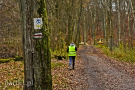 Naprawiają Bażantarnię