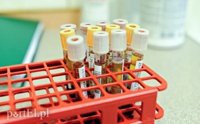 Tu polała się krew