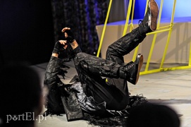 O przyjaźni, w której pióra lecą