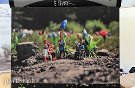 Seniorzy wyszli z ... szuflady