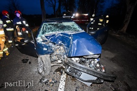 Fiat uderzył w drzewo pod Milejewem