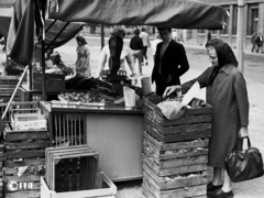 Elbląski handel w czasach PRL na zdjęciach Czesława Misiuka